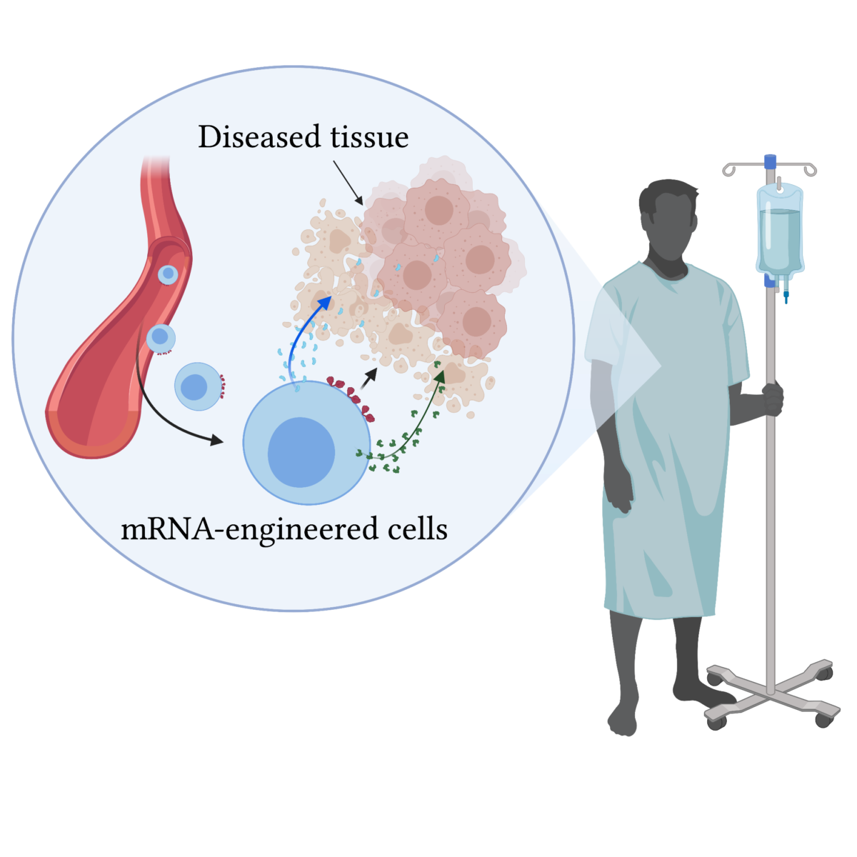 Cartesian Science | RNA Cell Therapy